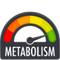 METABOLISM - Strong Nation Supps